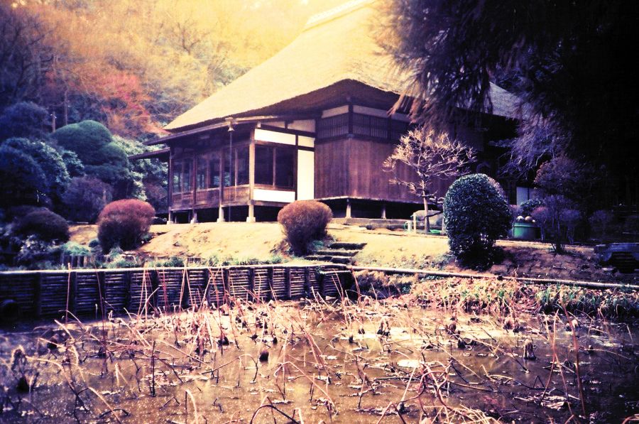 慶雲閣　池